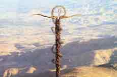 Das Schlangensymbol von Berg Nebo mit wunderschöner Aussicht in das Tal