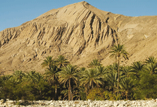 Wünstenlandschaft im Oman, Gebirge und Oase im Vordergrund