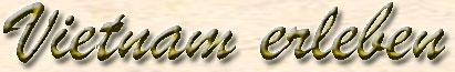 Angeobotsberschrift "Vietnam erleben" in kunstvoller Schrift