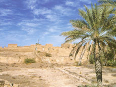 Oman Fort Jabrin