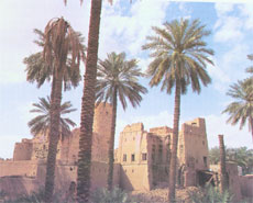 Oman Fort Raqi